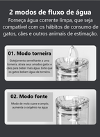 Automatic Fresh Water Fountain