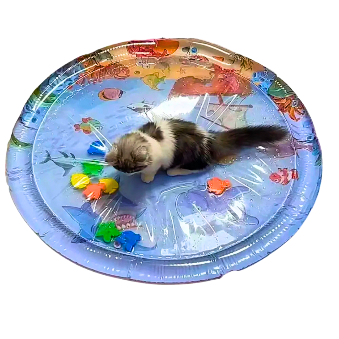 Piscina Tapete Inflável de Água Sensorial Resfriado para Cães e Gatos