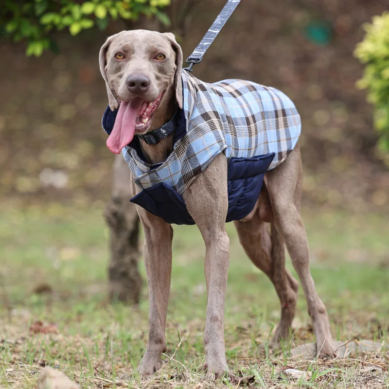 Osvaldi Premium Vest