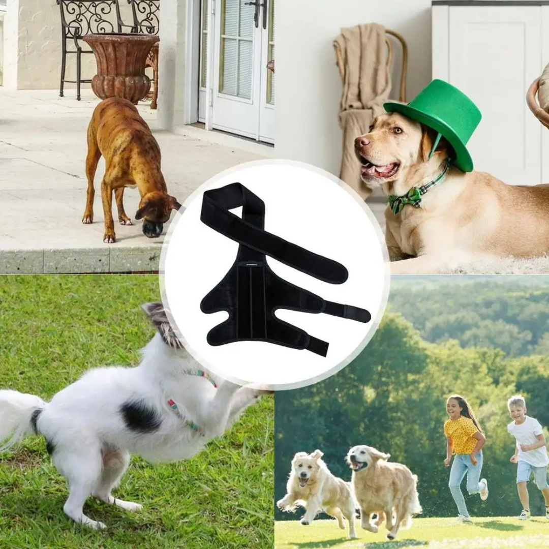 Joelheira Suporte Ortopédico para Cachorros com Lesões Dificuldade de Andar