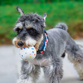 Brinquedo Resistente para Cães: FeraFlex™