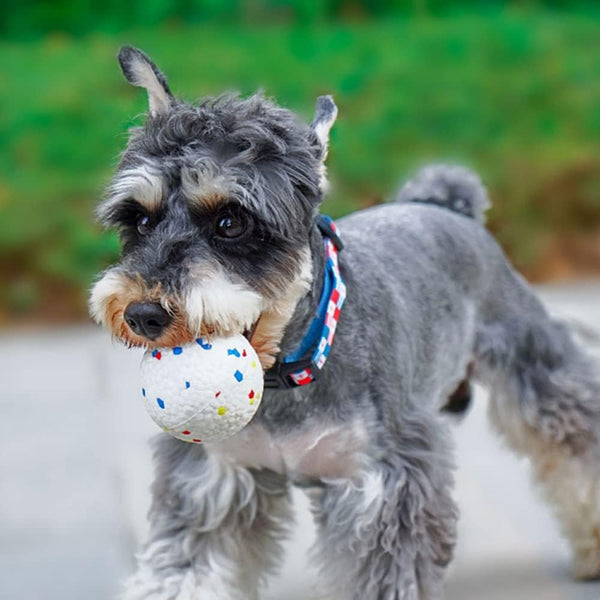 Brinquedo Resistente para Cães: FeraFlex™ - Pet Croc