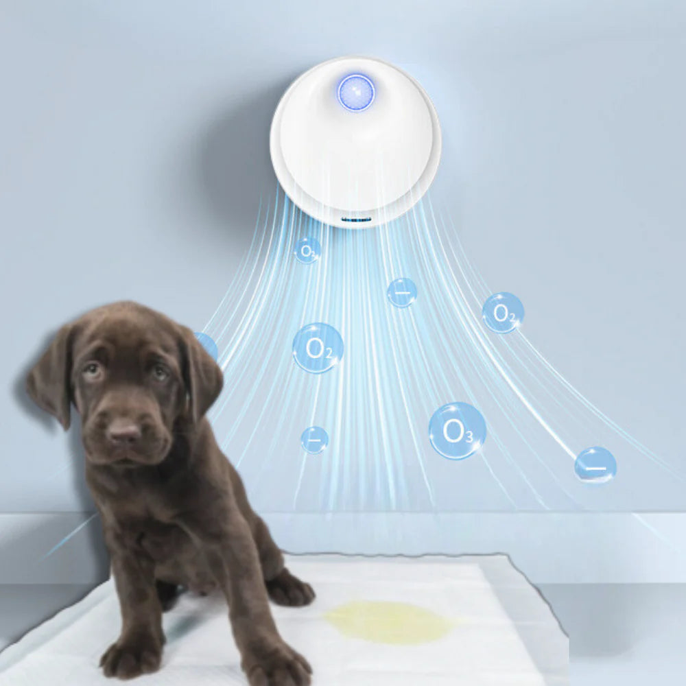Pet Air Purifier: Eliminates and Removes Odors from the Environment - SmartOdor™