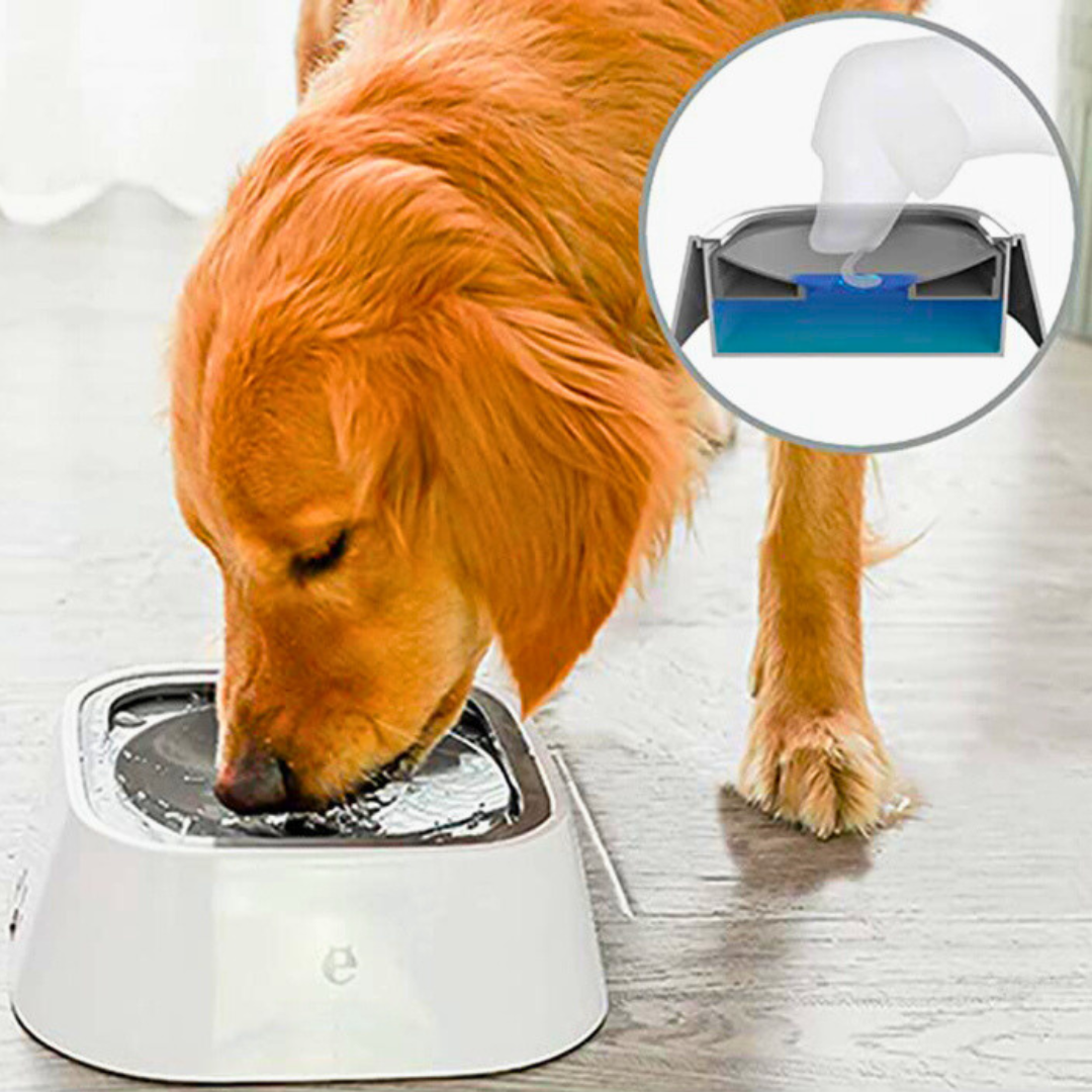 Bebedouro Anti Respingos | Para Cachorro e Gato