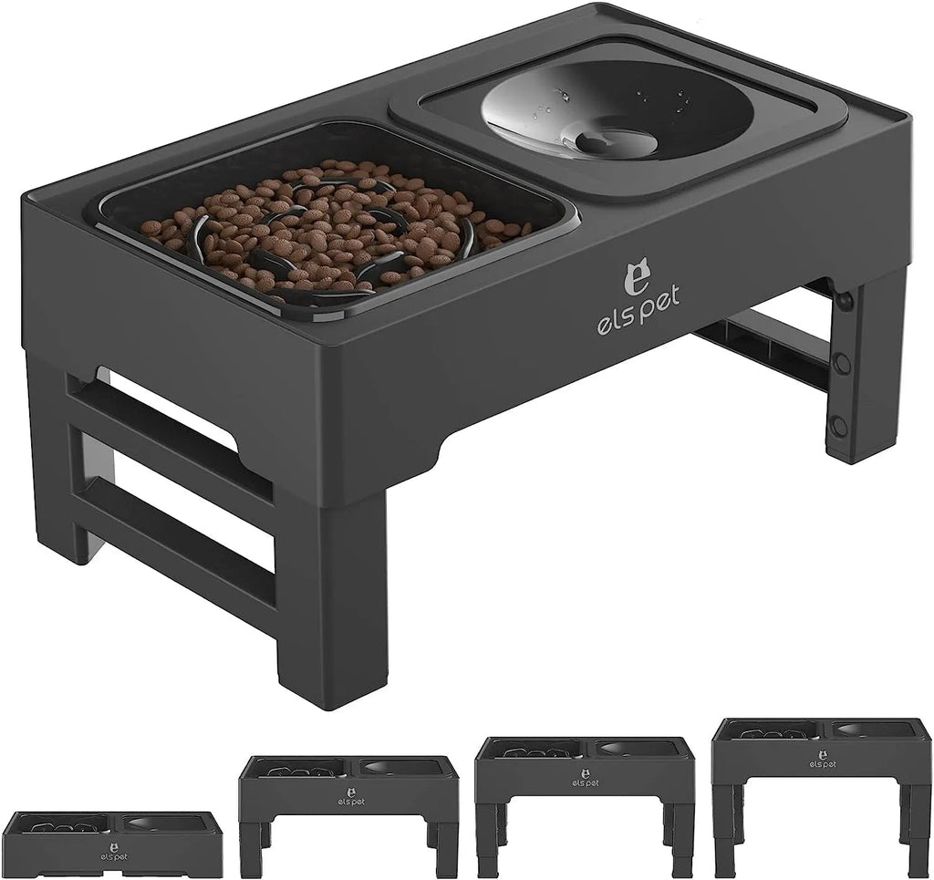 Adjustable and Multifunctional Elevated Feeder with Slow Feeder