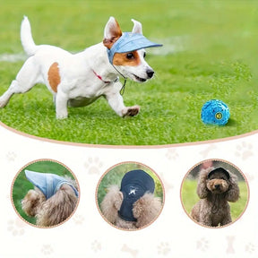 Boné para cachorro Tailup