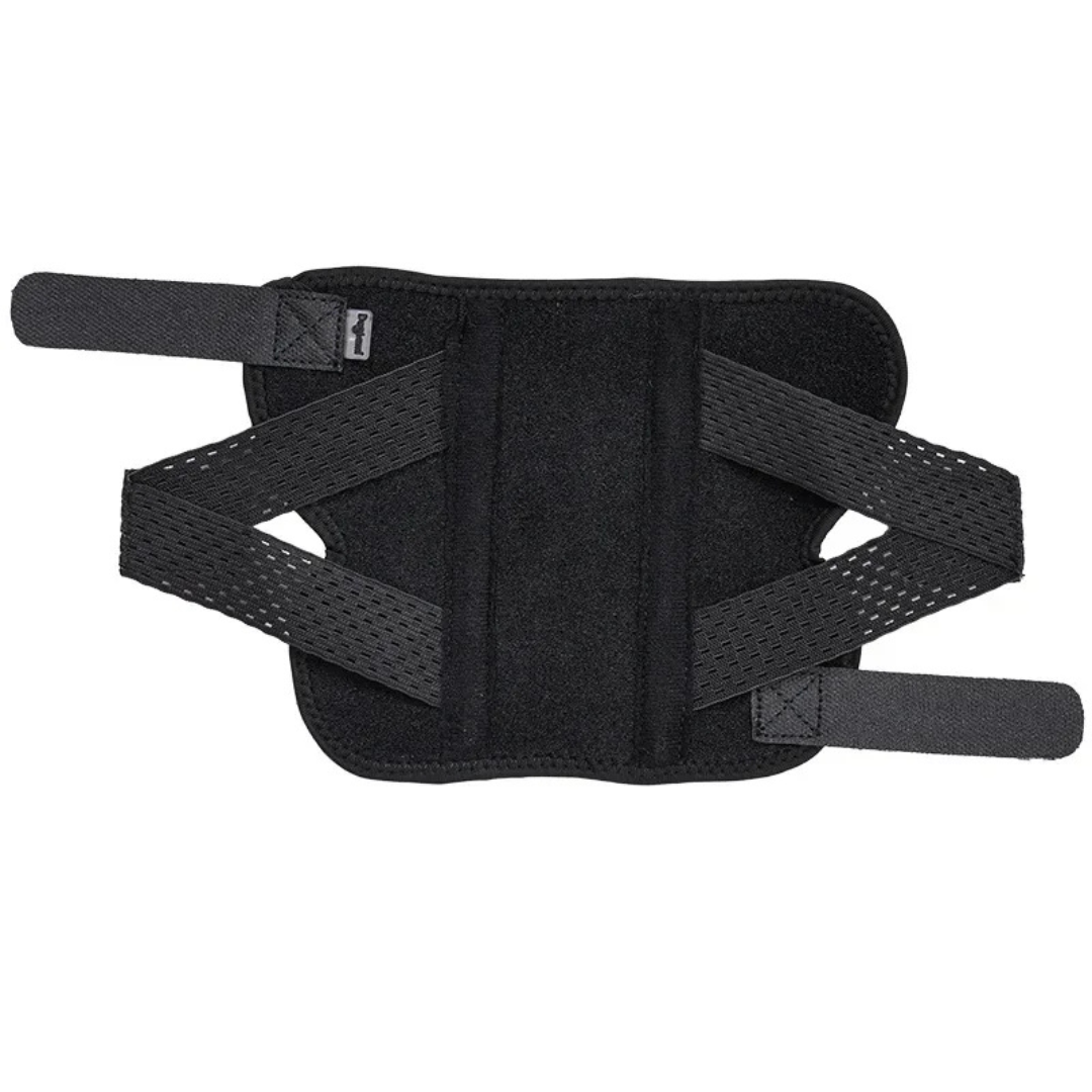 Cinta Suporte para Articulação e Joelho de Cachorros com Dificuldade de Caminhar