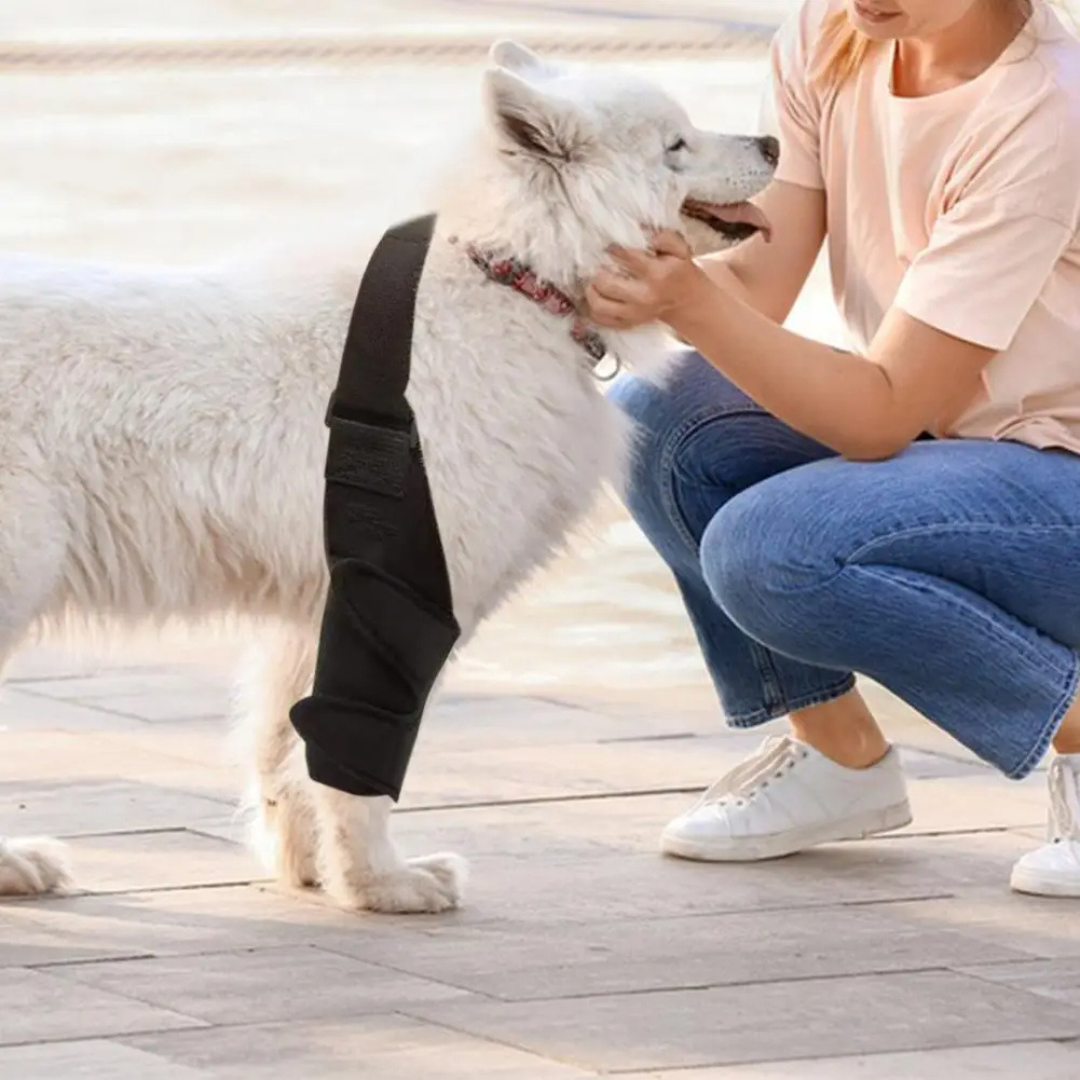 Cinta Suporte Patas Traseiras para Cachorros com Lesões Artrite Dificuldade de Andar