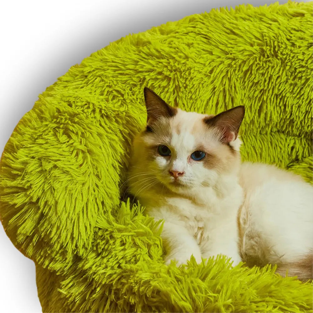 Cama para Cães e Gatos Boo Luxury