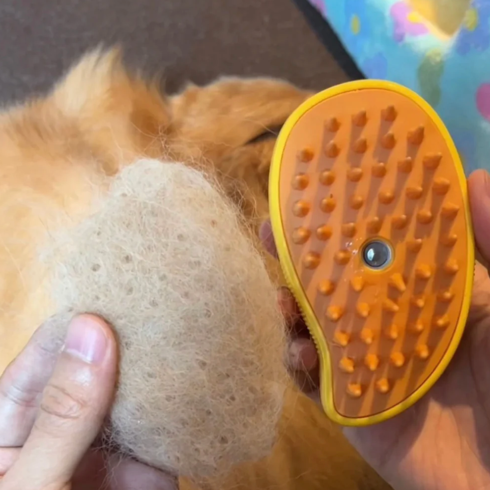 Pet Grows 3-in-1 Steam Brush