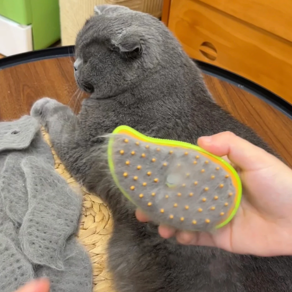 Pet Grows 3-in-1 Steam Brush