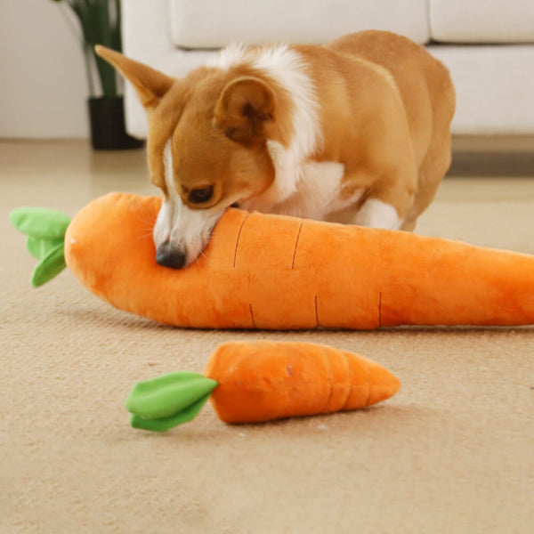 Brinquedo de Cenoura Interativo com Apito de Cachorro - Pet Croc