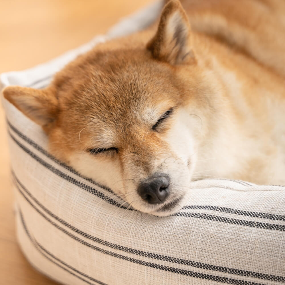 Cama de cachorro respirável listrada clássica para todas as estações