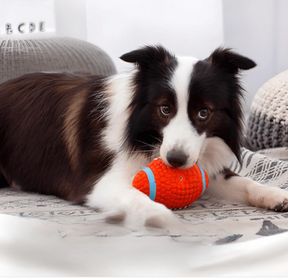 Brinquedo Bola Super Resistente para Pets