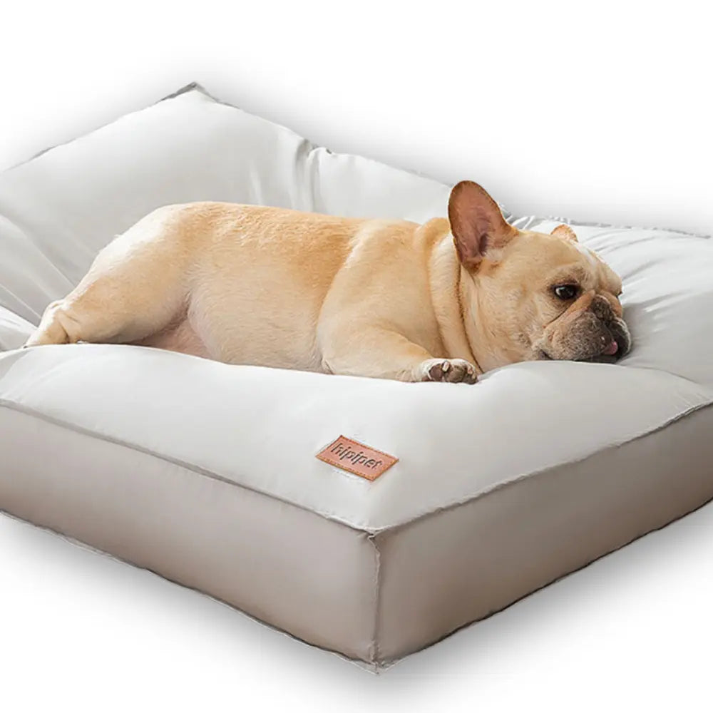 Hipipet Mattress for Dogs and Cats