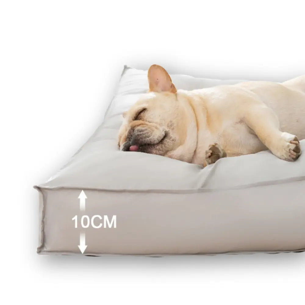 Hipipet Mattress for Dogs and Cats