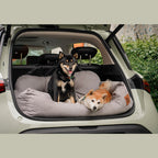 Car seat with bed for dogs