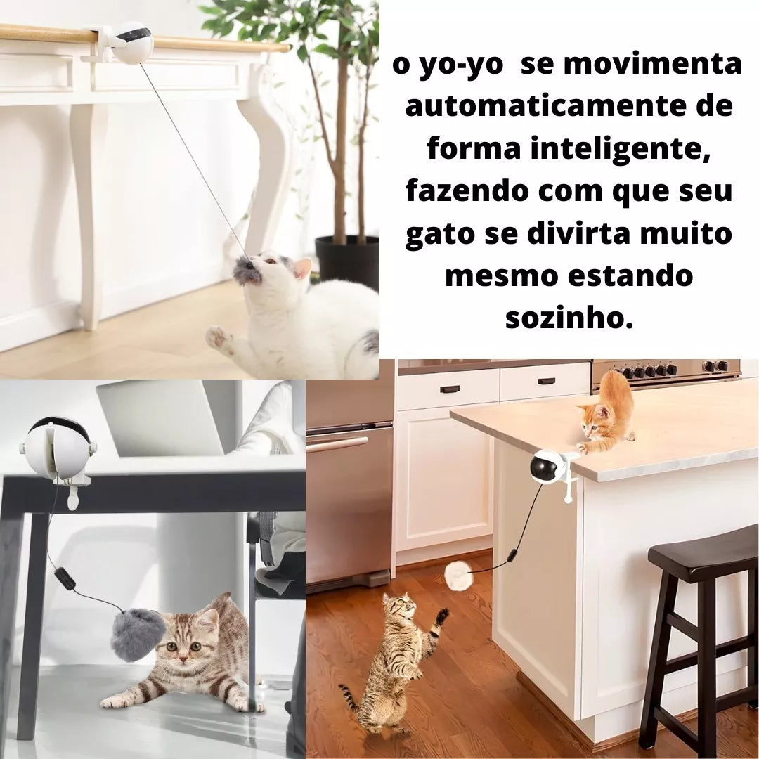 Yo Yo Inteligente para Gato