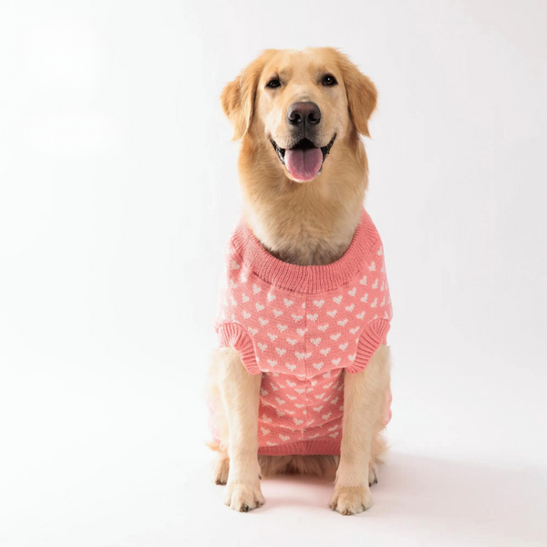 Tricot Pet Vilma - Pet Croc