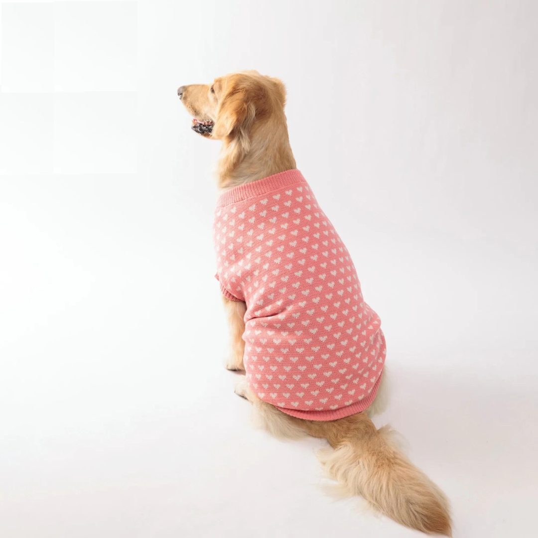 Tricot Pet Vilma