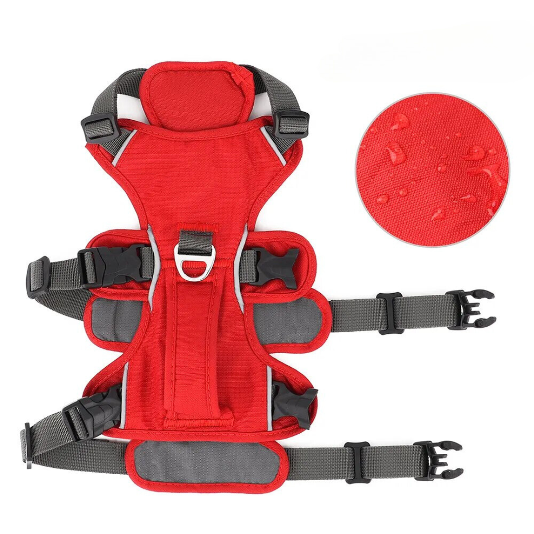 Coleira Peitoral Resistente Grande Smag