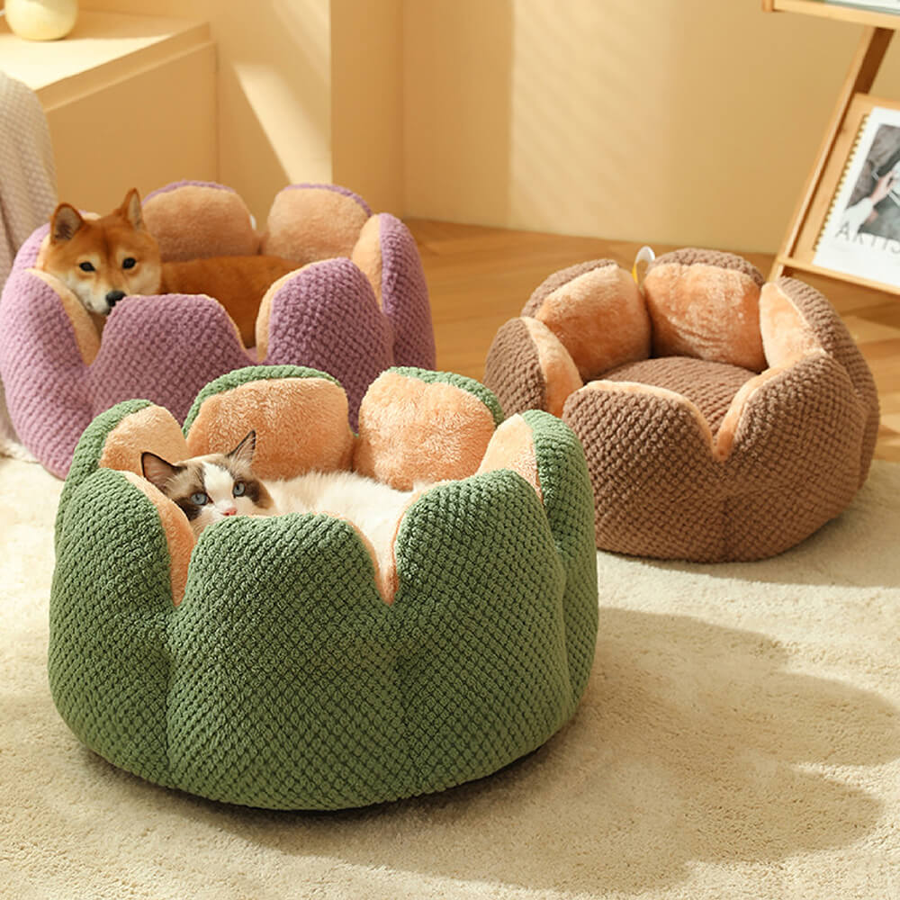 Comfortable cactus-shaped pet bed
