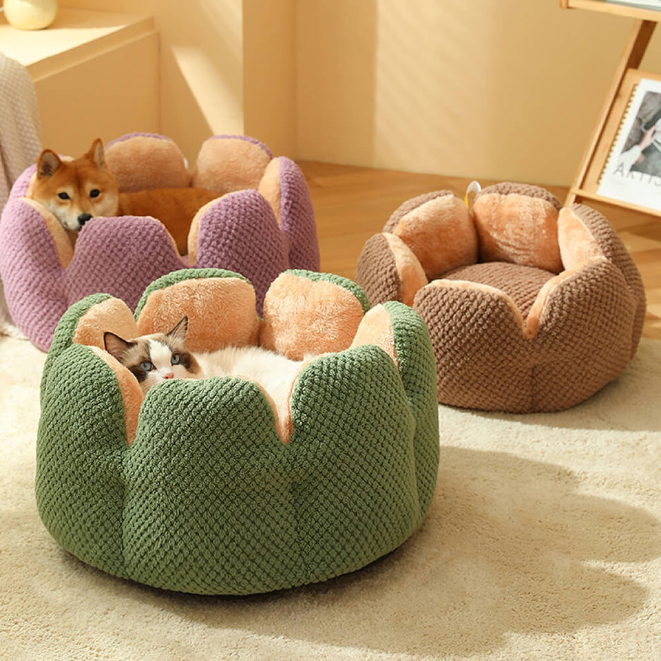 Comfortable cactus-shaped pet bed