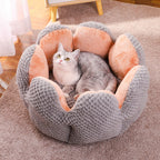 Comfortable cactus-shaped pet bed