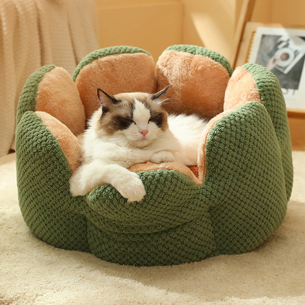 Comfortable cactus-shaped pet bed