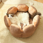 Comfortable cactus-shaped pet bed