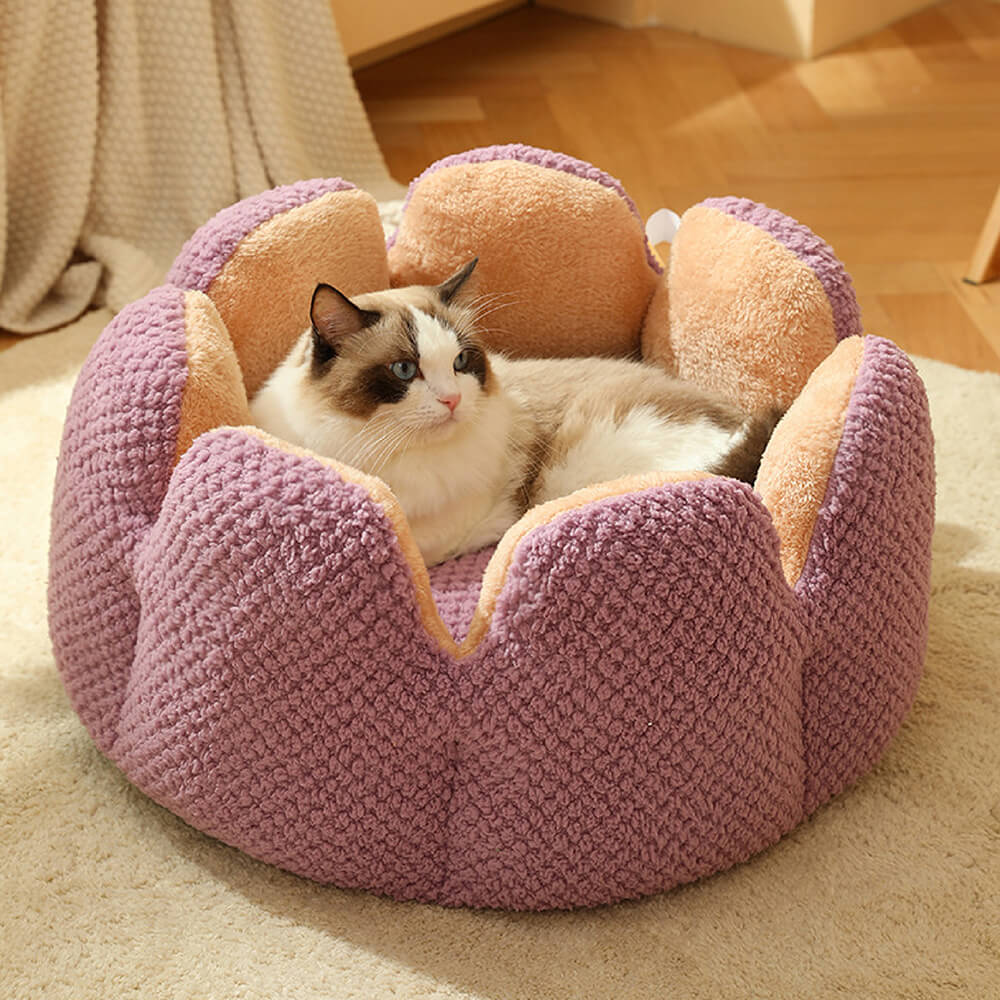 Comfortable cactus-shaped pet bed