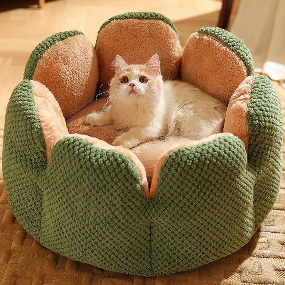 Comfortable cactus-shaped pet bed