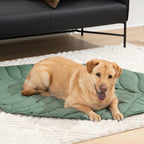 Extra-large leaf-shaped dog blanket