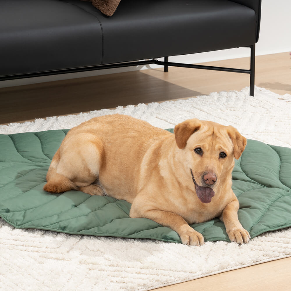 Extra-large leaf-shaped dog blanket