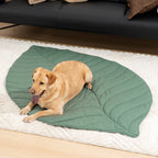 Extra-large leaf-shaped dog blanket