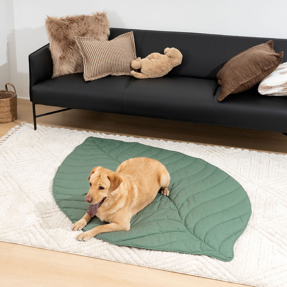 Extra-large leaf-shaped dog blanket