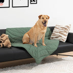 Extra-large leaf-shaped dog blanket