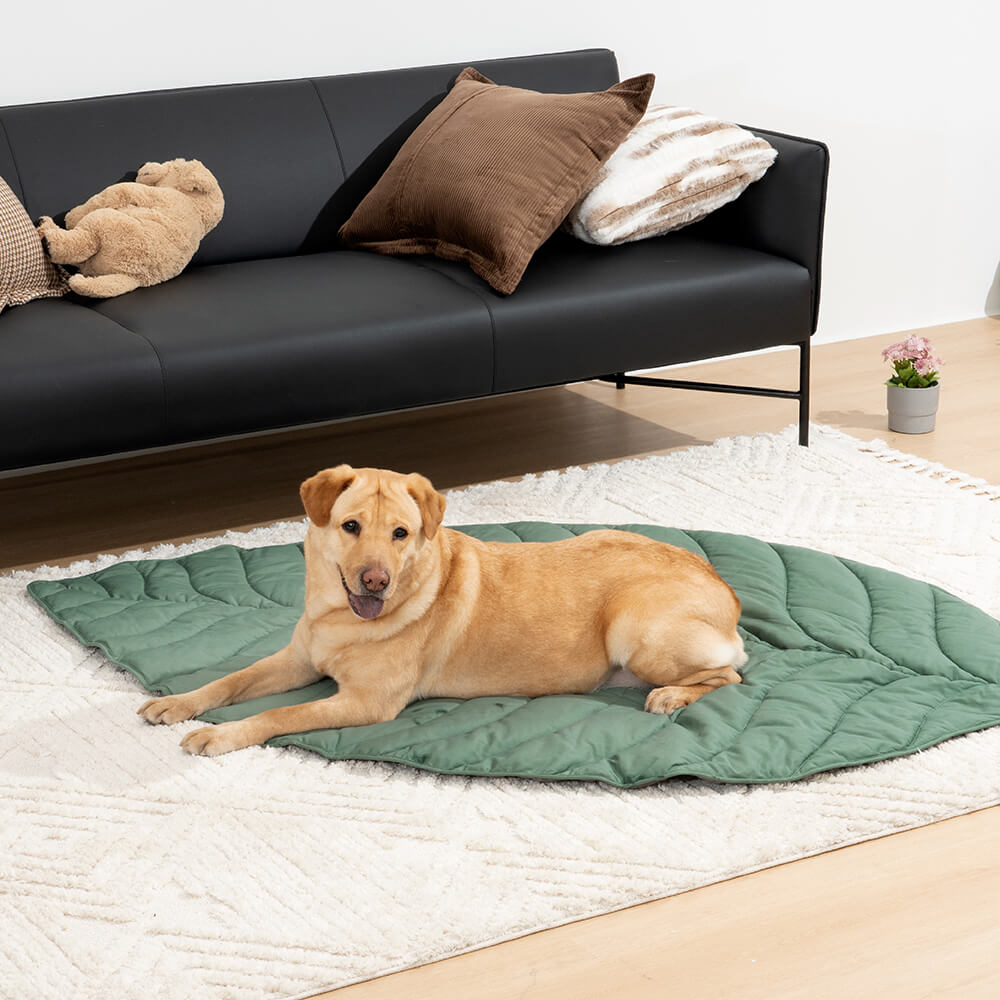 Extra-large leaf-shaped dog blanket
