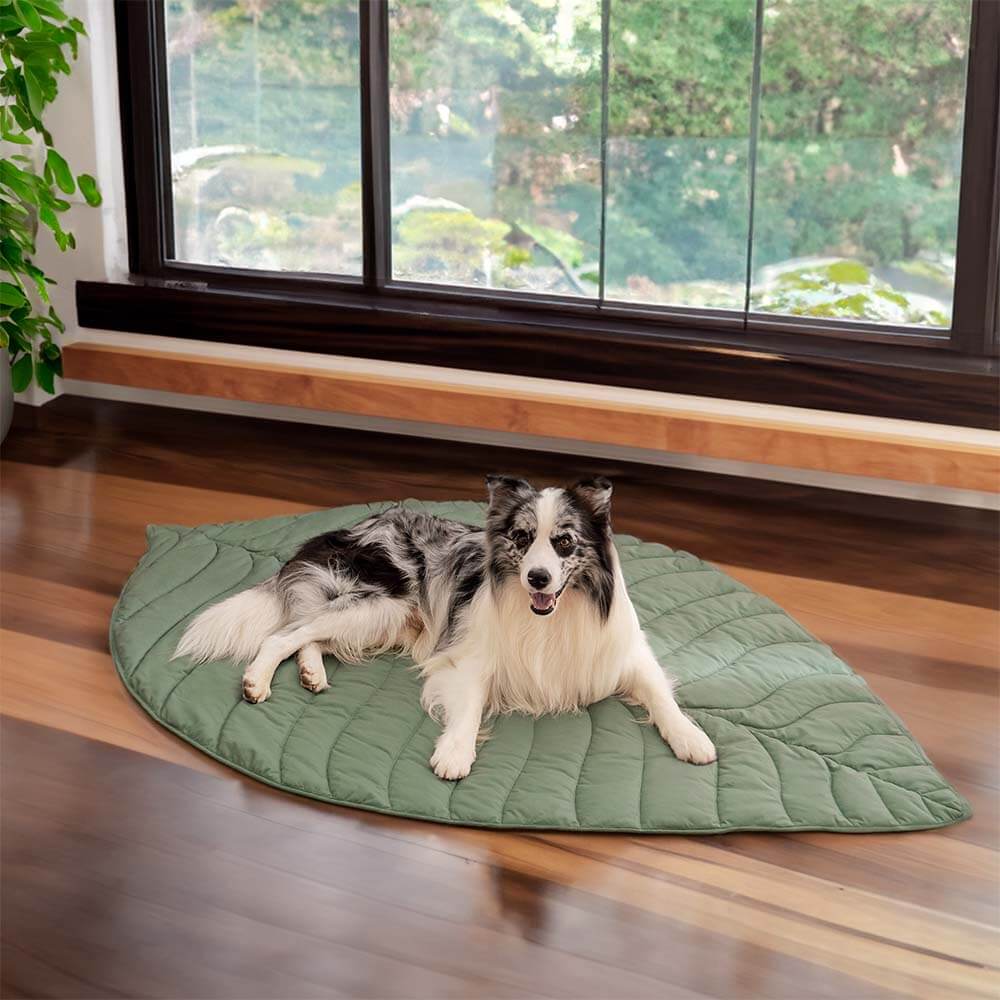 Extra-large leaf-shaped dog blanket