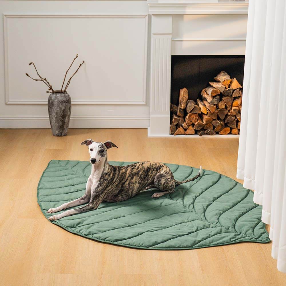 Extra-large leaf-shaped dog blanket