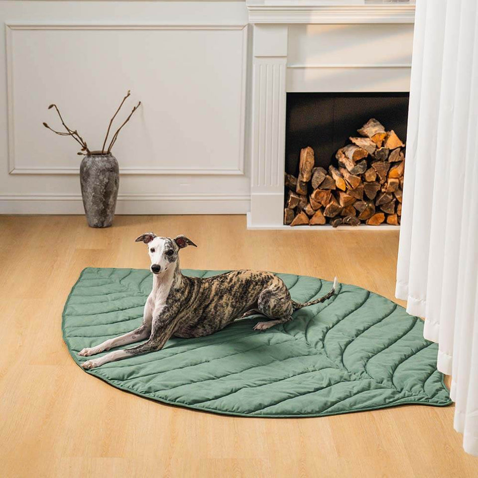 Extra-large leaf-shaped dog blanket