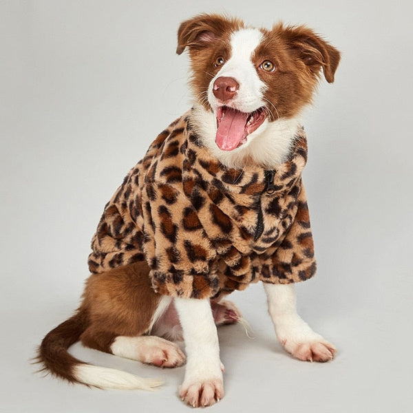 Casaco Pet Animal Bent - Pet Croc