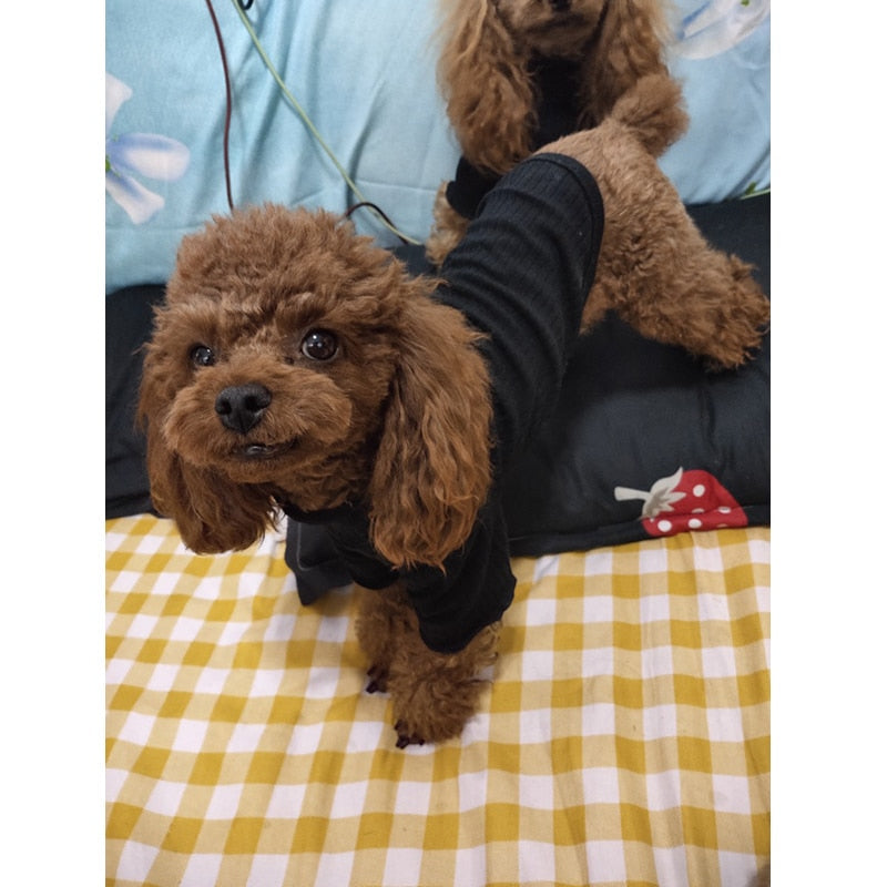 Blusa Pet Mozi