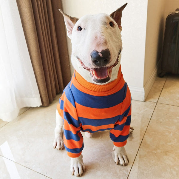 Roupa Bull Terrier Listradinha para Cachorro e Gato - Pet Croc
