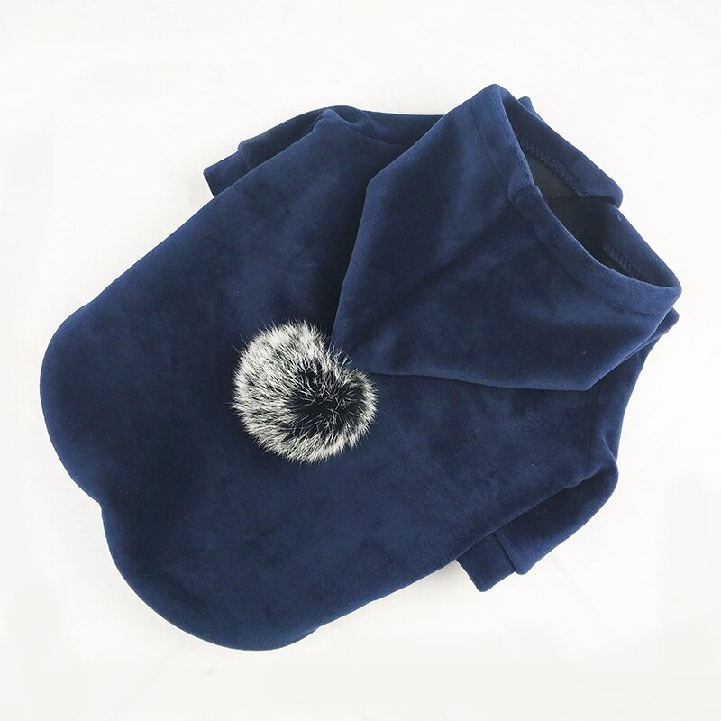 Pet Pomp sweatshirt