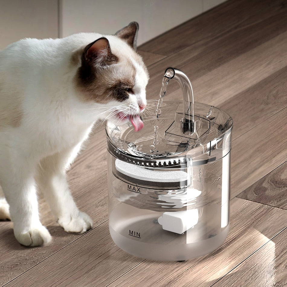 Automatic Fresh Water Fountain
