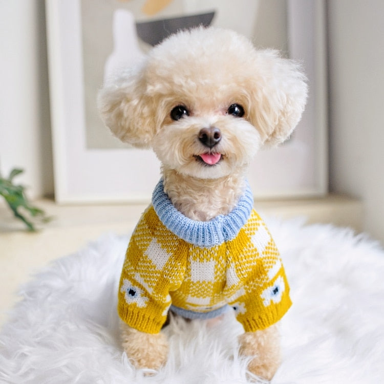 Floral Pet Knit 