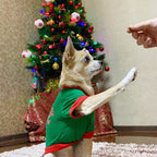 Pet Noel Blouse