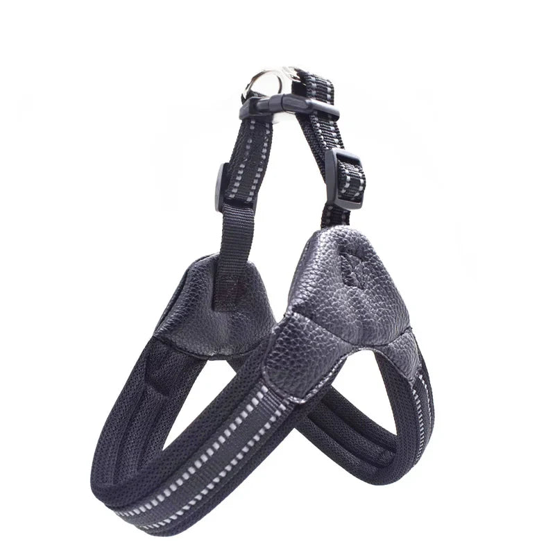 Pet Routice Leather Collar &amp; Leash
