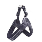 Pet Routice Leather Collar &amp; Leash